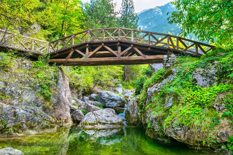 Holzbrücke im Olympus Nationalpark - ©Andrei Nekrassov - stock.adobe.com