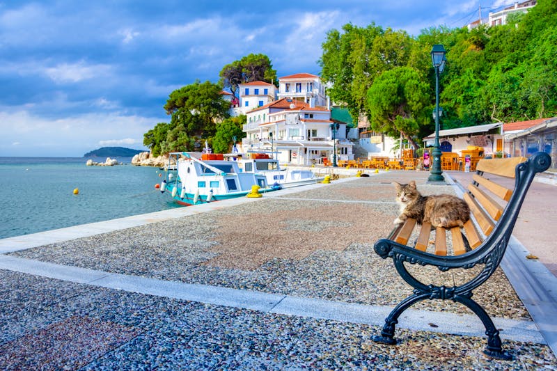 Altstadt von Skiathos  - ©gatsi - stock.adobe.com