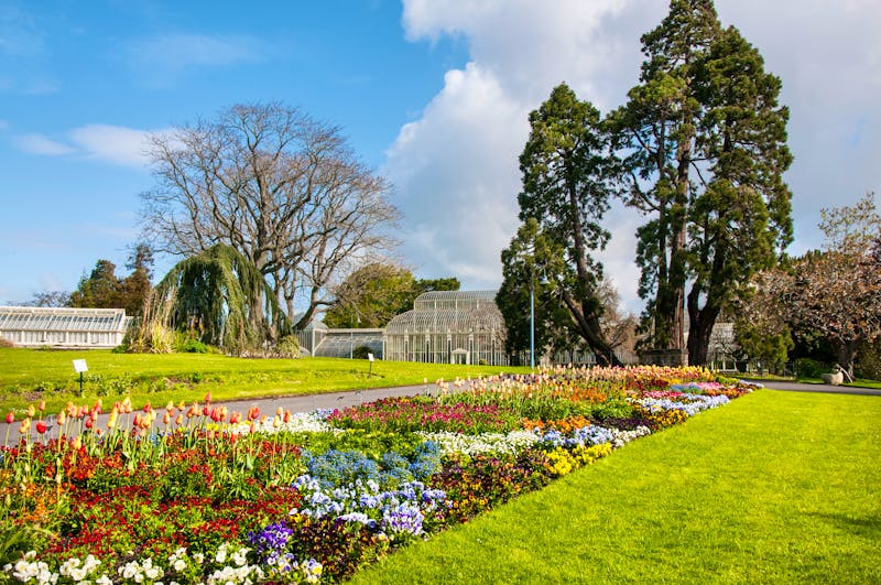 National Botanic Garden of Ireland in Dublin  - ©yuplex - stock.adobe.com