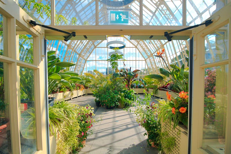 National Botanic Garden of Ireland in Dublin  - ©Davi Costa - stock.adobe.com