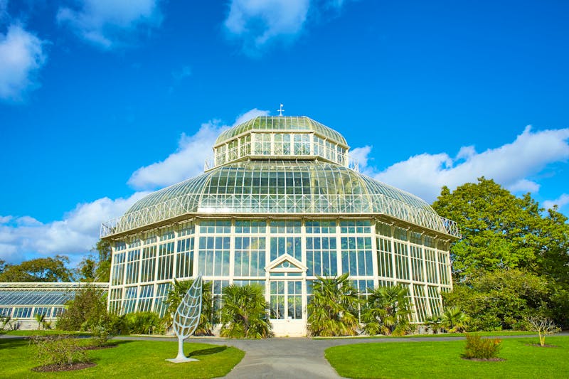 National Botanic Garden of Ireland in Dublin  - ©Irene Fox - stock.adobe.com