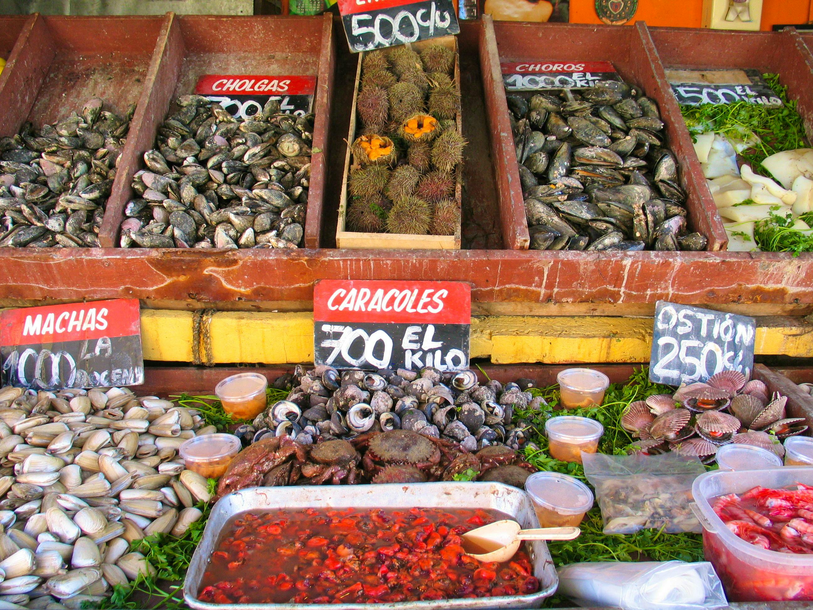 Meeresfrüchte zum verkauf auf dem Markt von Valparaiso  - &copy;VEOy.com - stock.adobe.com