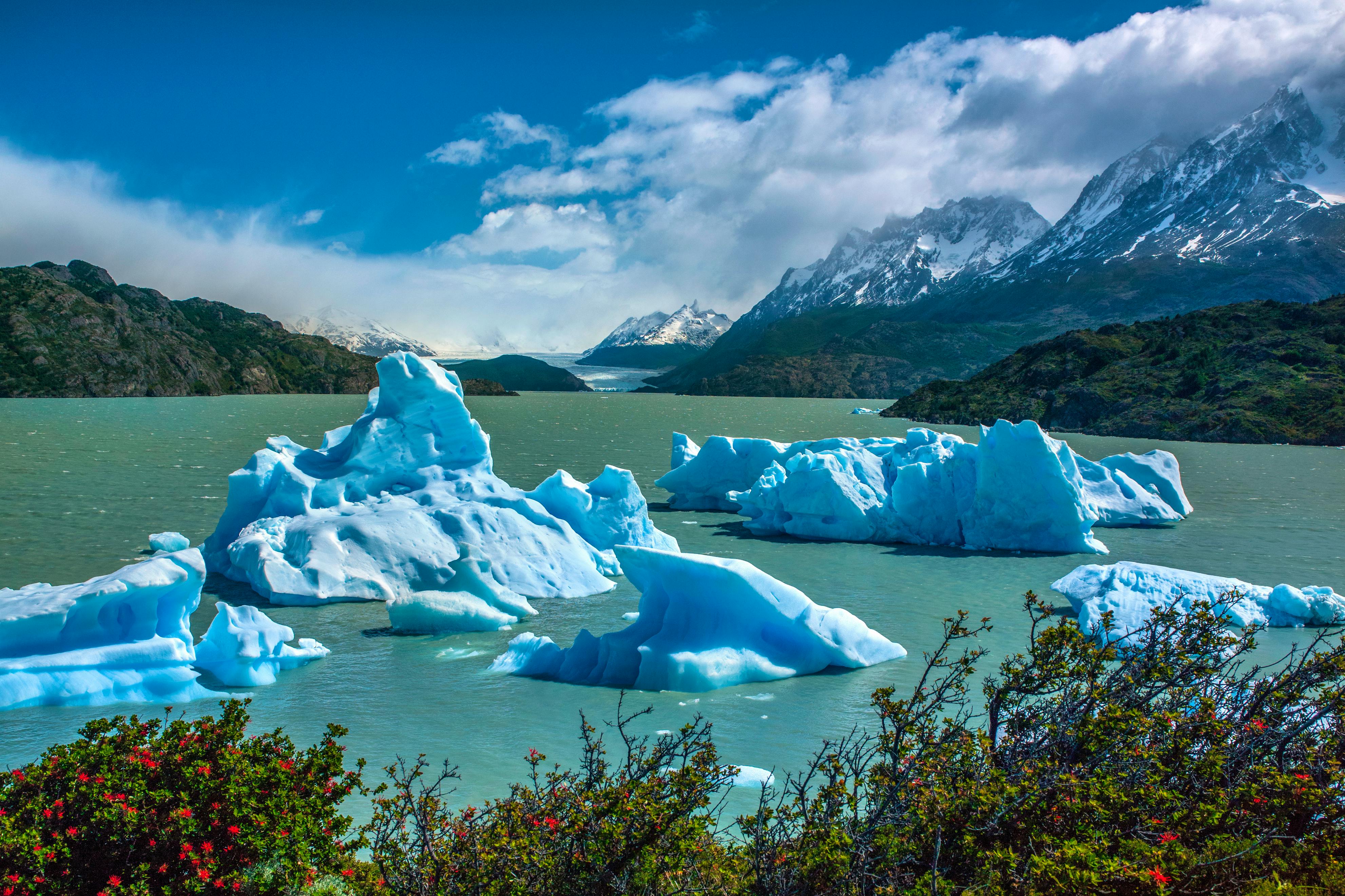 Eisberge im Lago Grey in Patigonia - &copy;©Steve Allen - All rights reserved