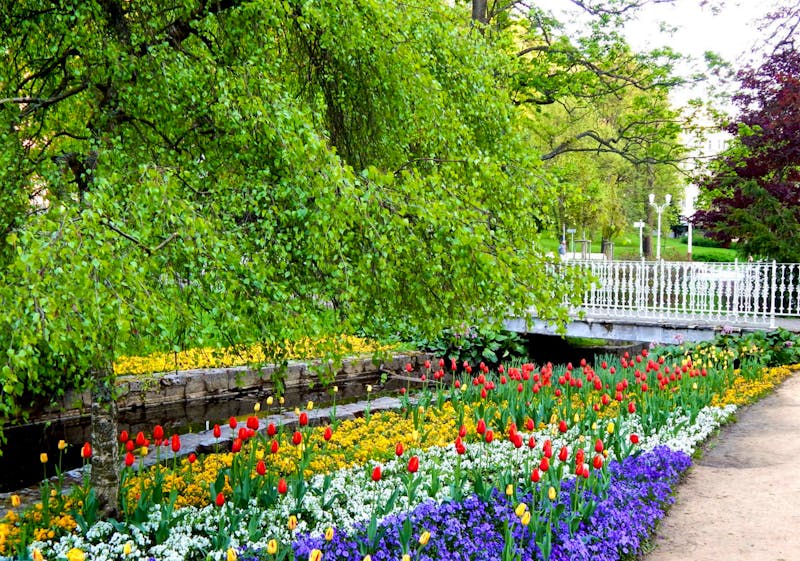 Marienbad im Böhmischen Bäderdreieck - Frühling im Kurpark - &copy;Database KIMSL - Tourismus Marienbad