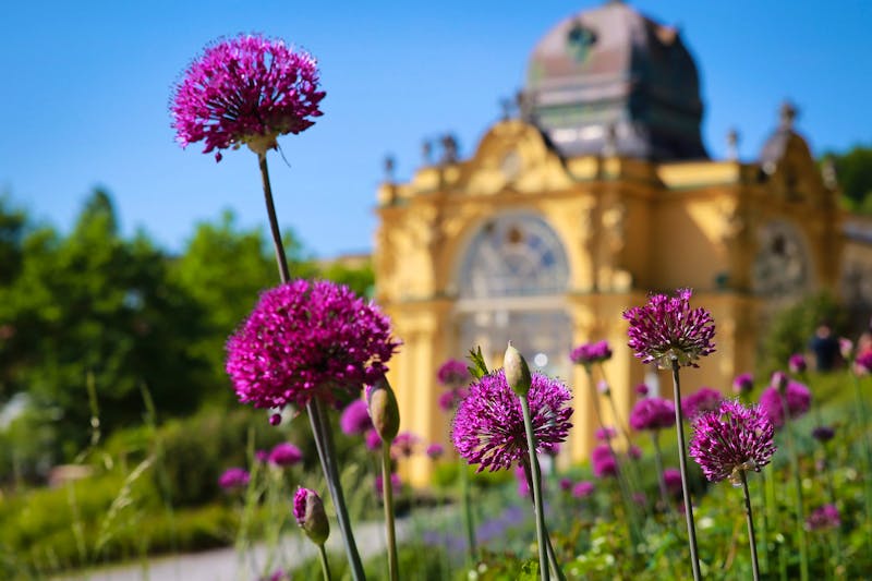 Marienbad im Böhmischen Bäderdreieck - Frühling im Kurpark - &copy;Database KIMSL - Tourismus Marienbad