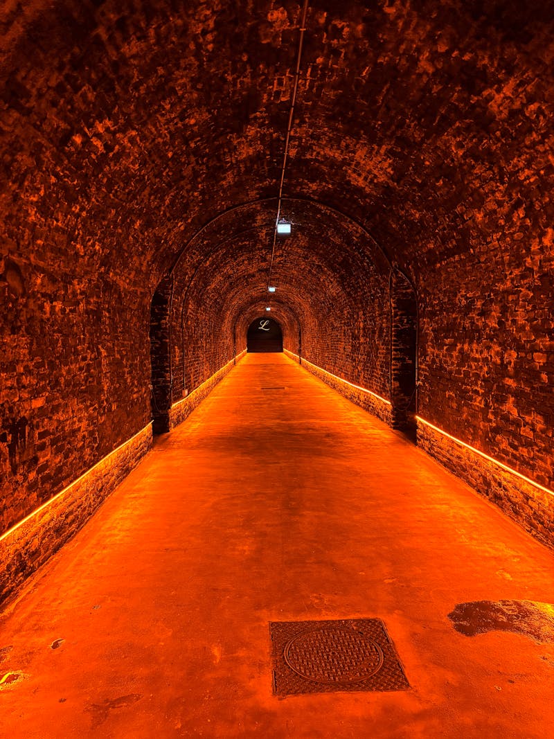 Champagnerkellerei Lanson 2 - ©Eberhardt TRAVEL - Domenic Obiegli