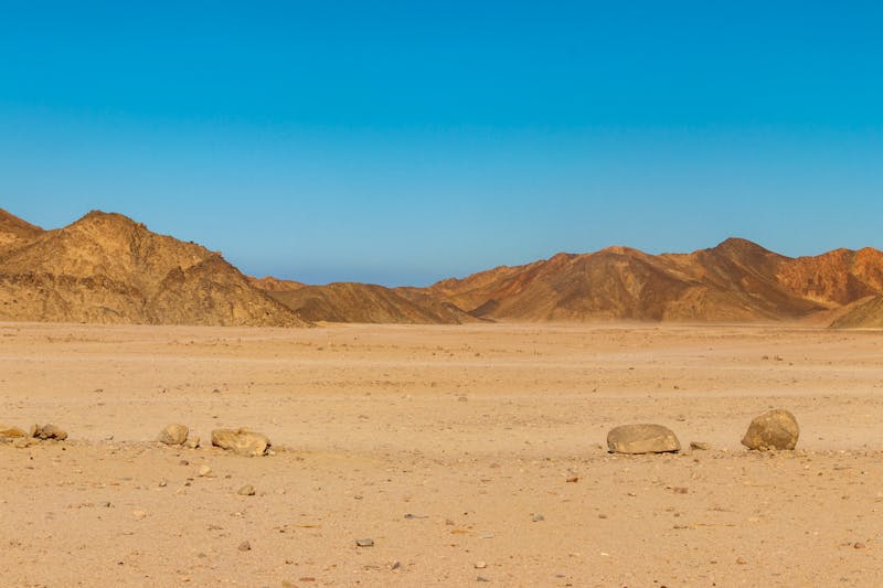 Blick auf die Sahara  - ©olyasolodenko - stock.adobe.com