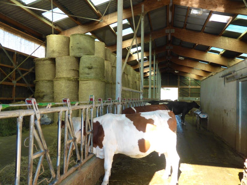 Landwirtschaftsbetrieb Ferme de Lambres in der Auvergne - ©Claudia Bernhardt - Eberhardt TRAVEL