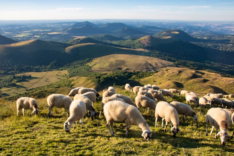 Am Puy-de-Dôme in der Auvergne - ©jef 77 - stock.adobe.com