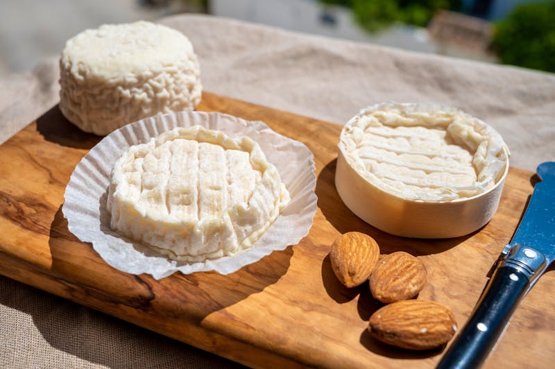 Rocamadour Käse - ©barmalini - stock.adobe.com