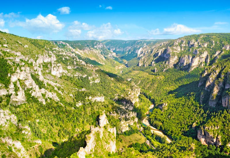 Gorges du Tarn - Tarnschlucht in Zentralfrankreich - ©lamax - stock.adobe.com