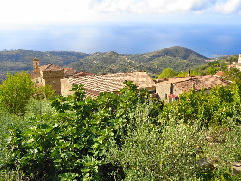 Nationalpark Cilento - Pollica - ©Martina Häselbarth - Eberhardt TRAVEL
