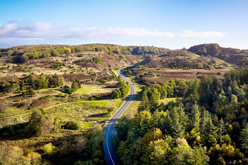 Rebild Bakker Nationalpark in Dänemark - ©Johny - stock.adobe.com
