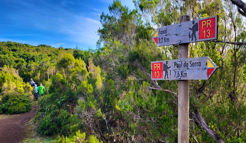  Wanderung zum Lorbeerwald Fanal auf Madeira - ©Susanne Schirmann - Eberhardt TRAVEL