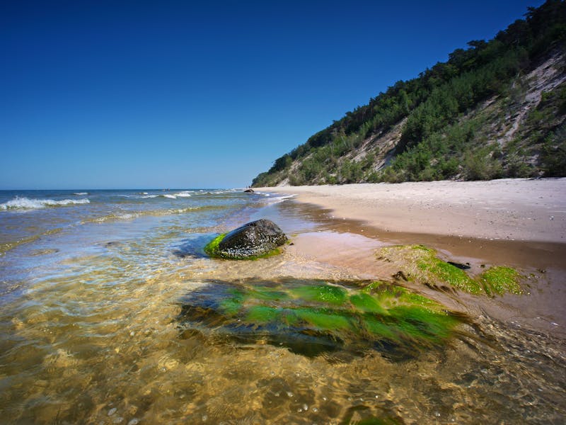 Wolin Nationalpark - WPN  - ©Ola i Eryk - stock.adobe.com