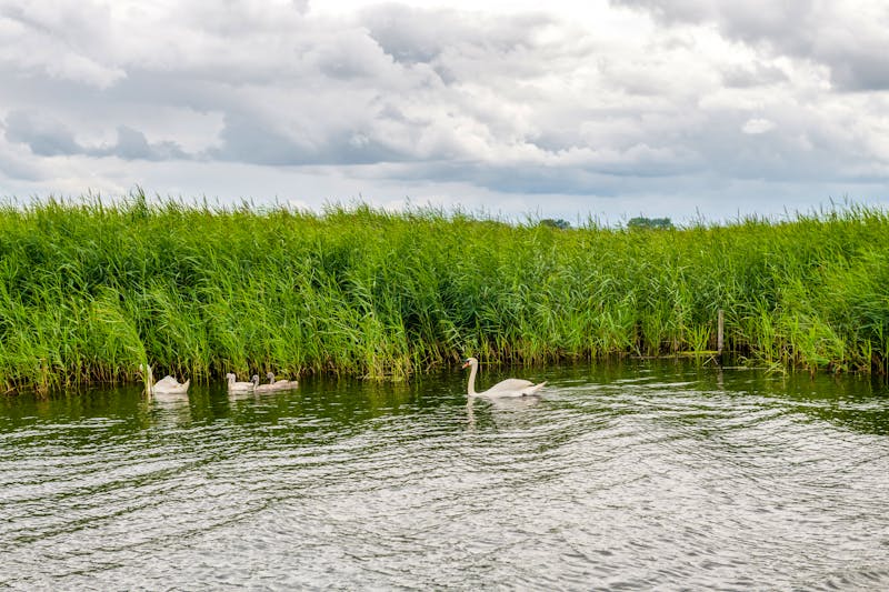 Wolin Nationalpark - WPN  - ©KAMIL JANISZEWSKI kamil@k2photo.pl