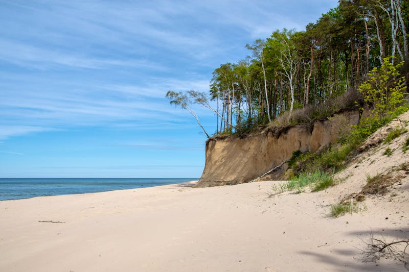 Wolin Nationalpark  - ©Marcin - stock.adobe.com