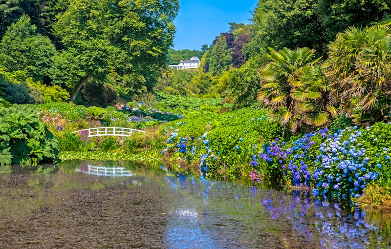 Trebah Garden in Cornwall - ©David - stock.adobe.com