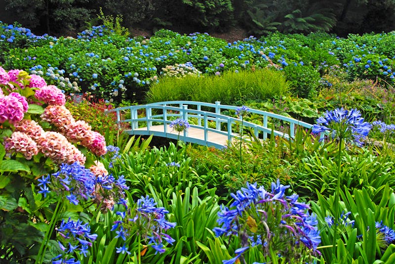 Trebah Garden in Cornwall - ©Alexander - stock.adobe.com