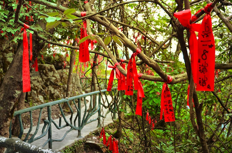 Zhangjiajie National Park - rote Bänder im Wunschwald  - ©kravka - stock.adobe.com