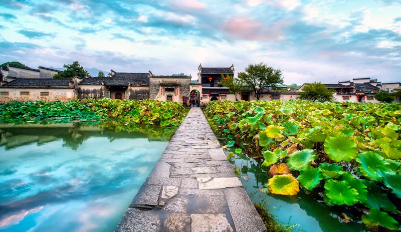 Hongcun in Anhui - Seerosen in der Altstadt - ©zhouyilu - stock.adobe.com