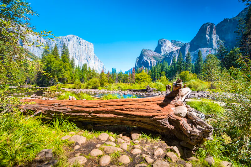 Yosemite-Nationalpark mit dem Felsen El Capitan  - &copy;JFL Photography - stock.adobe.com