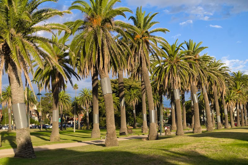 Melbourne - St. Kilda.jpg - ©Annika Lembke - Eberhardt TRAVEL