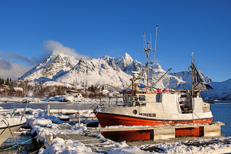 Winterlandschaft auf der Insel Senja - ©Marina - stock.adobe.com