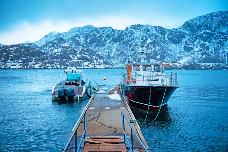Bootsfahrt vor der Insel Senja - ©WellStock - stock.adobe.com