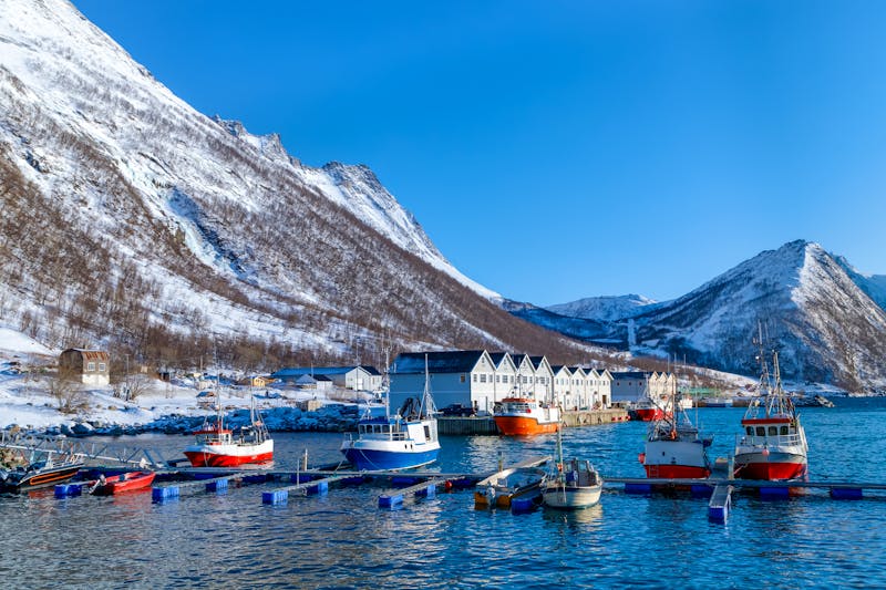 Bootsfahrt vor der Insel Senja - ©Telly - stock.adobe.com