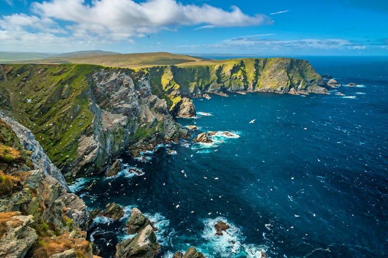 Vogelfelsen in Shetland - ©JAKLZDENEK - stock.adobe.com