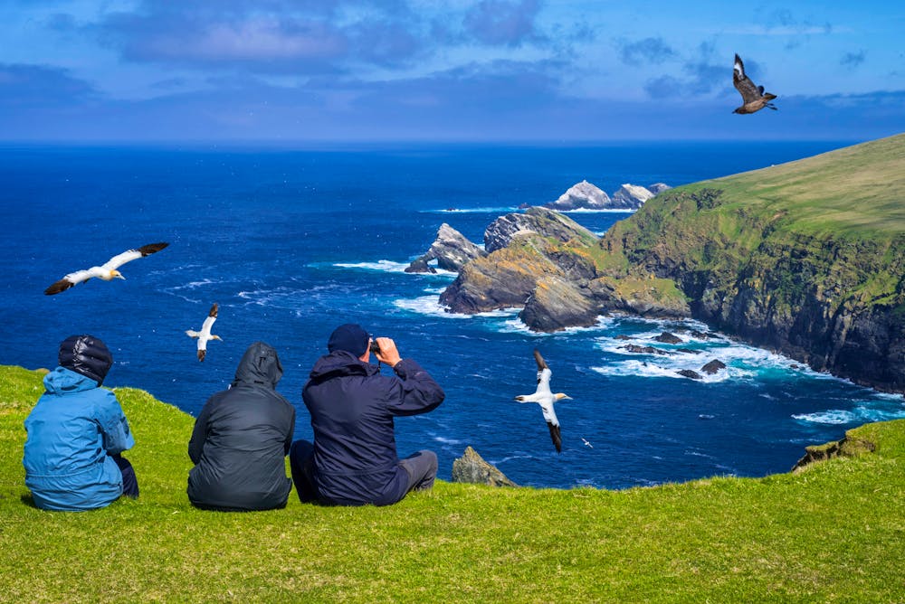 Vogelbeobachtung bei Hermaness auf der Shetland-Insel Unst  &ndash; &copy; Philippe - stock.adobe.com