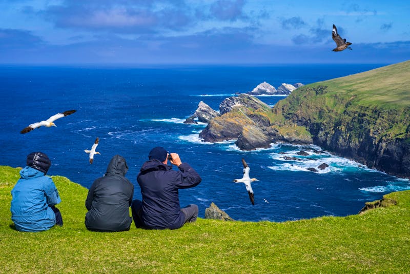 Vogelbeobachtung bei Hermaness auf der Shetland-Insel Unst  - ©Philippe - stock.adobe.com