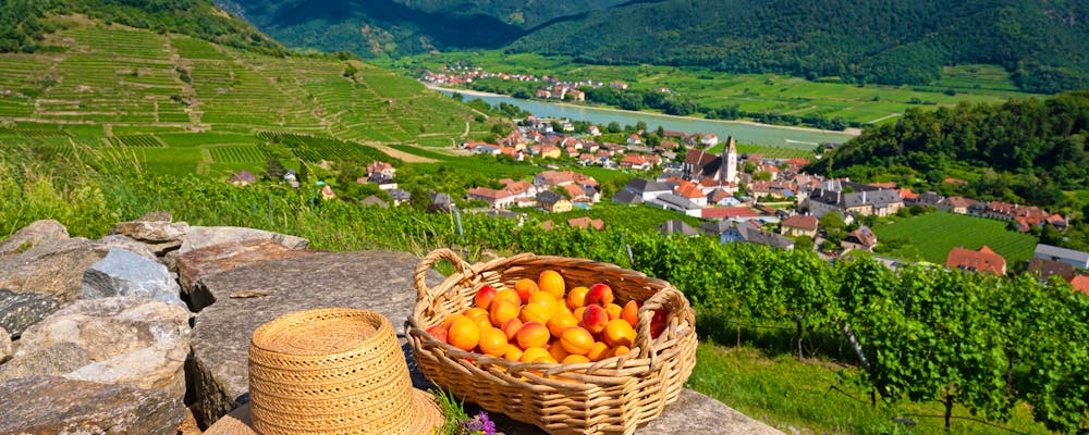 Die Wachau und die Donau – © fotofrank - stock.adobe.com