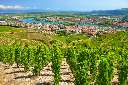 Blick über die Weinhänge und Tain-l’Hermitage an der Rhône &ndash; &copy; into the wild - stock.adobe.com