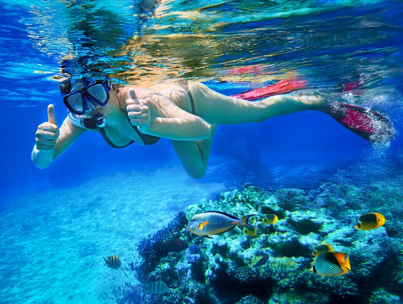 Schnorcheln im Roten Meer - ©Patryk Kosmider - stock.adobe.com