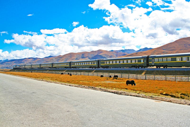 Tibet-Bahn bei Lhasa - ©Luke - stock.adobe.com