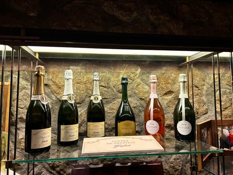 Freixenet Kellerei - ©Anne Fohlert (Eberhardt TRAVEL)