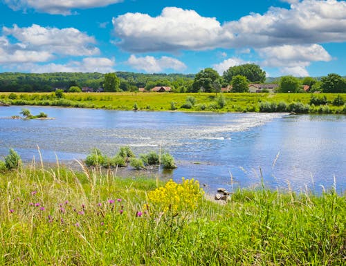 Fluss Maas in der belgischen Provinz Limburg – © Ralf - stock.adobe.com