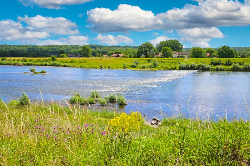 Fluss Maas in der belgischen Provinz Limburg - ©Ralf - stock.adobe.com