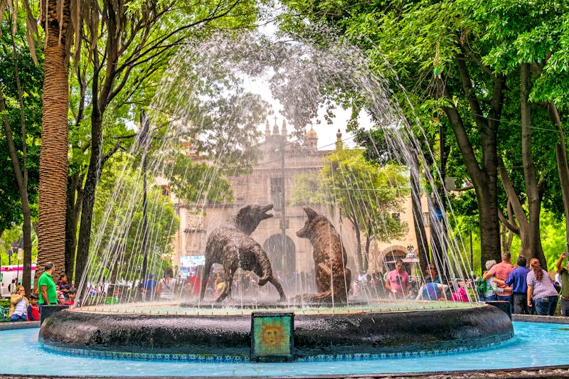 Kojoten-Brunnen im Stadtteil Coyoacan - Mexiko-Stadt  - ©Iván Malagón - stock.adobe.com