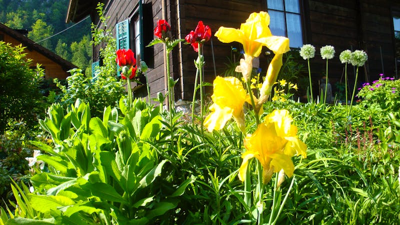 Privatgarten 