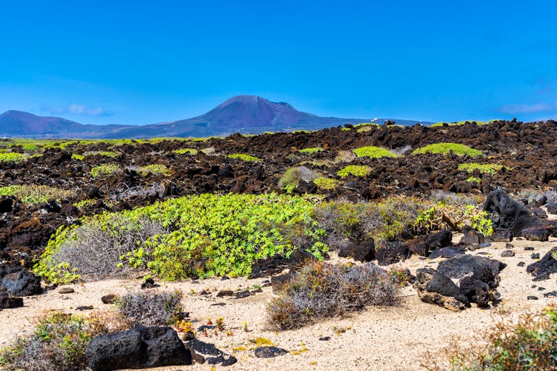 Vulkanlandschaft am Monte Corona auf Lanzarote - ©Simon - stock.adobe.com