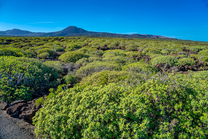 Vulkanlandschaft am Monte Corona auf Lanzarote - &copy;Pedro Emanuel  - stock.adobe.com