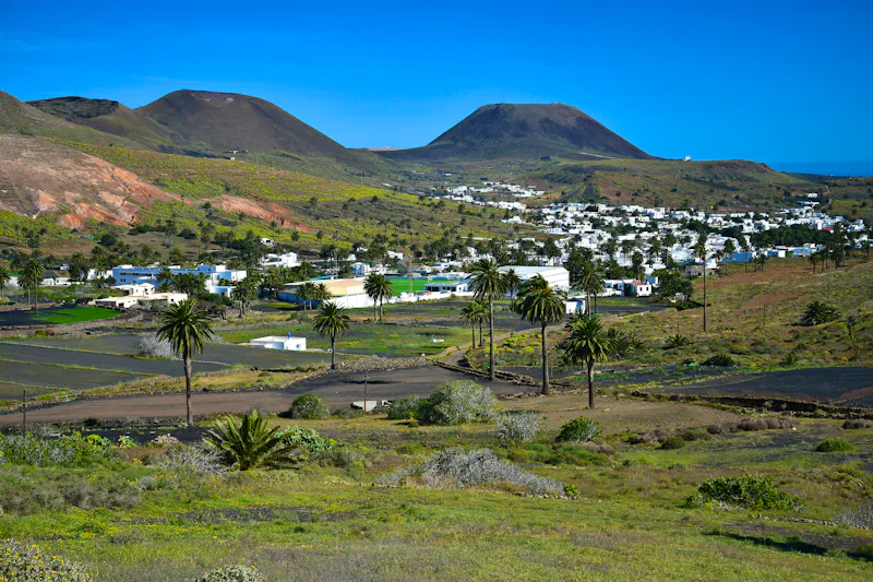 Tal der 1000 Palmen auf Lanzarote - &copy;Susanne Fritzsche - stock.adobe.com