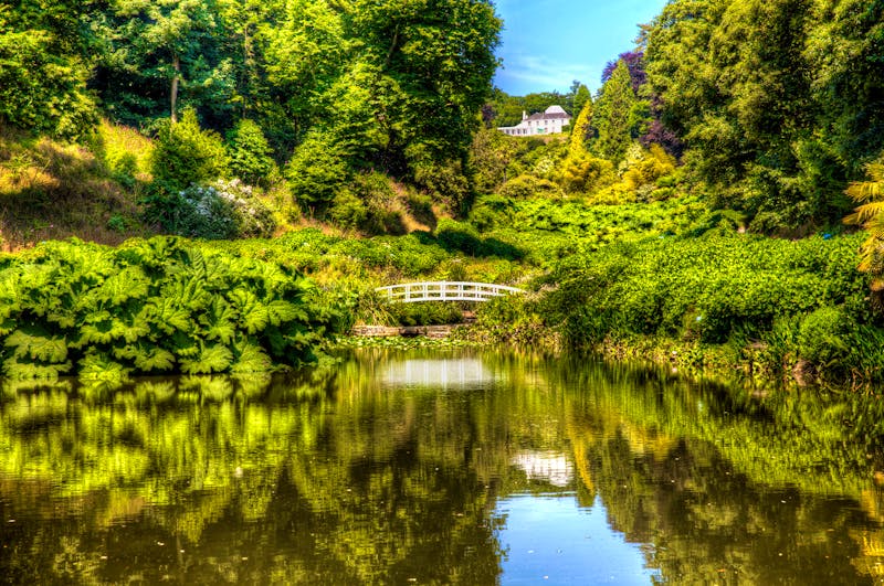 Trebah Garden in Cornwall  - ©Rolf - stock.adobe.com