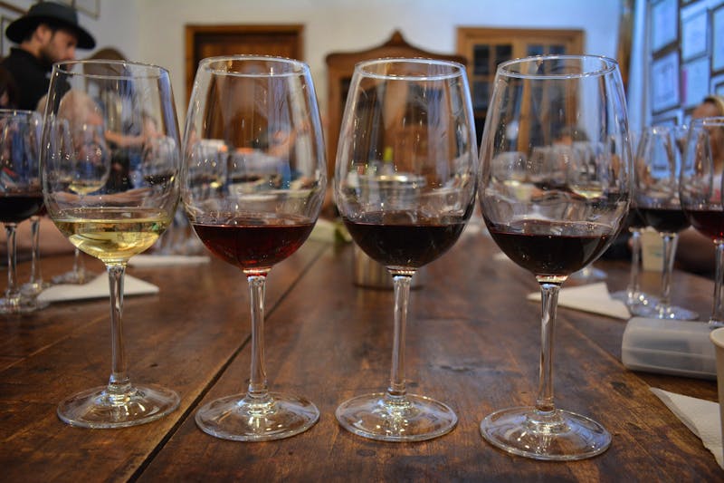 Chilenische Weine - ©Franziska Barthel (Eberhardt TRAVEL)