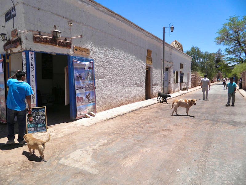 San Pedro de Atacama - ©Constanze Hölig - Eberhardt TRAVEL
