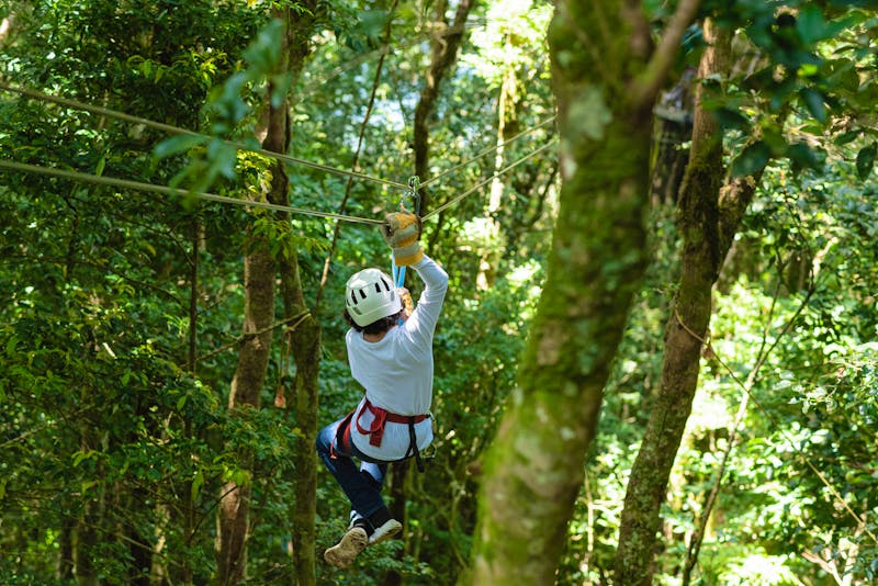 Zipline in Monteverde, Costa Rica  - ©STOCKEROcr - stock.adobe.com