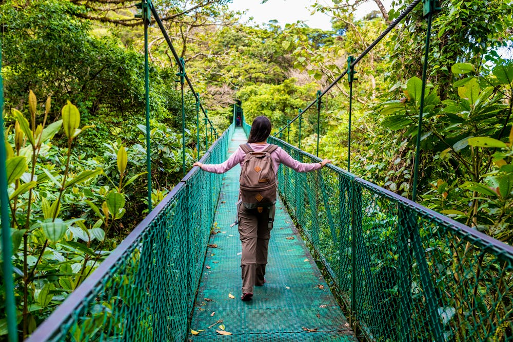 Hängebrücke in  Monteverde, Costa Rica  &ndash; &copy; Simon Dannhauer - stock.adobe.com